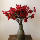 Hell&eacute;bore Rouge