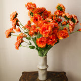 Pens&eacute;e Orange